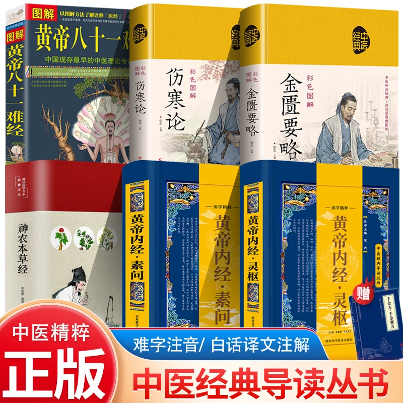 正版中医四大名著  本经内经难经脉经杂病论