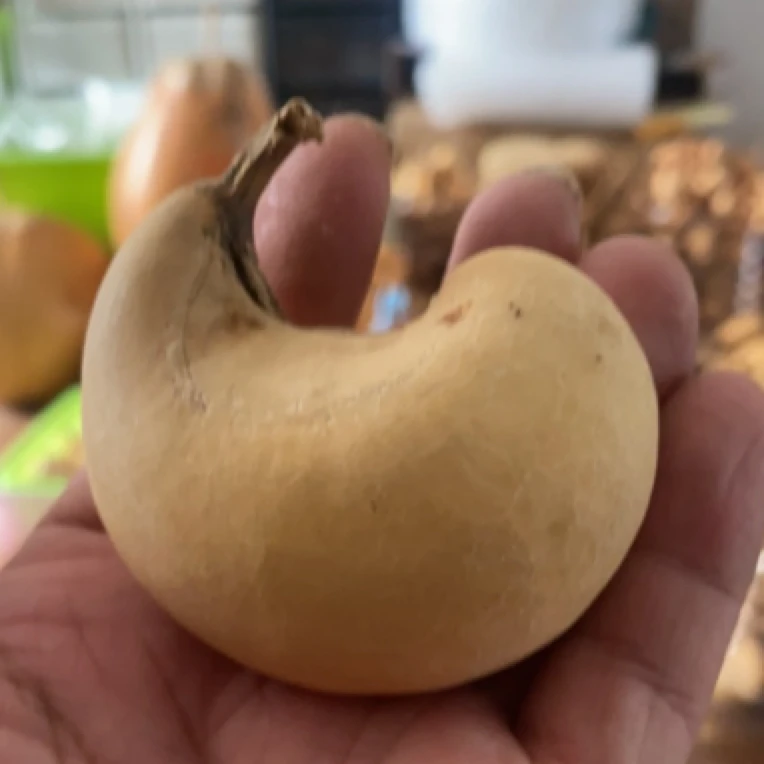 手把腰子葫芦，尺寸正好