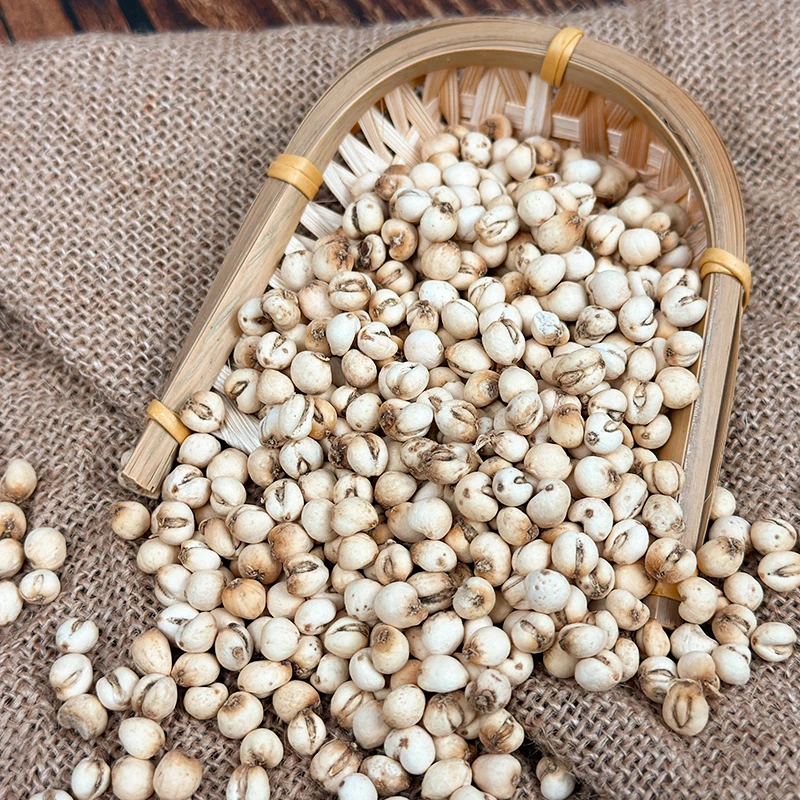 精选大川贝可煲汤炖汤煮水100g-500g包邮