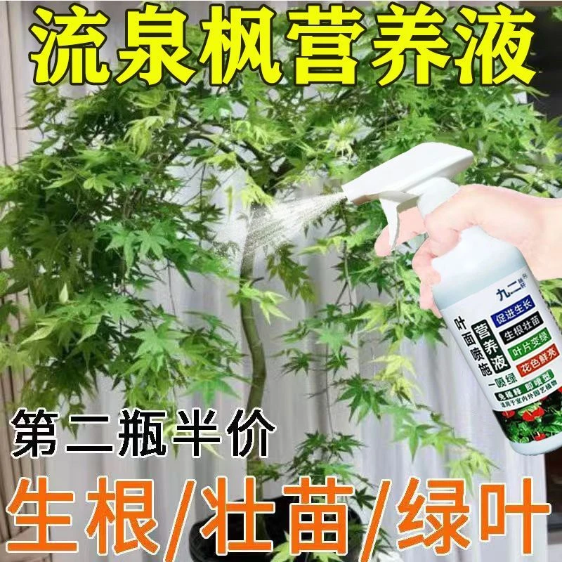 流泉枫免稀释通用营养液促生长绿叶防黄叶枯四季常青室内液体肥
