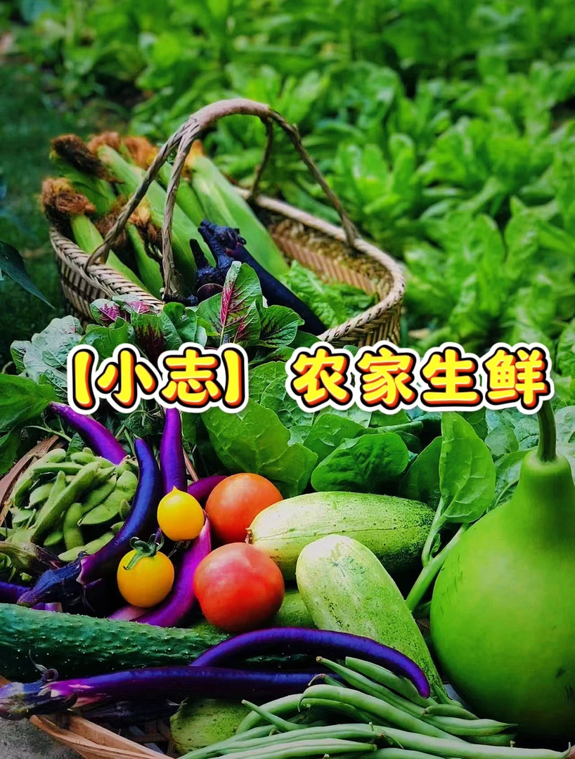 【小志】农家蔬菜水果