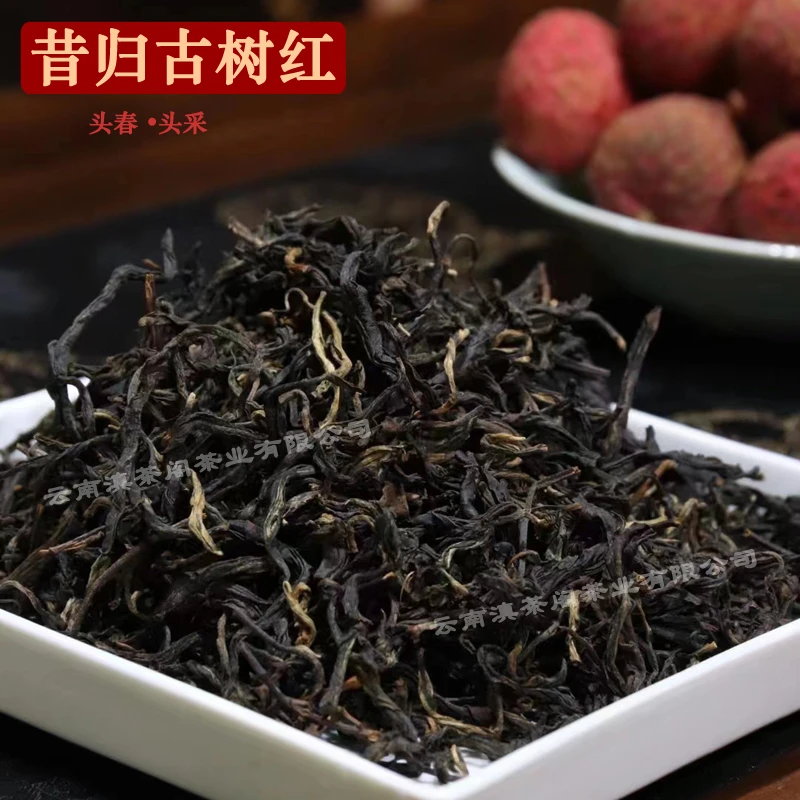 云南红茶 2024年昔归古树滇红茶250克/罐 头春头采 传统工艺