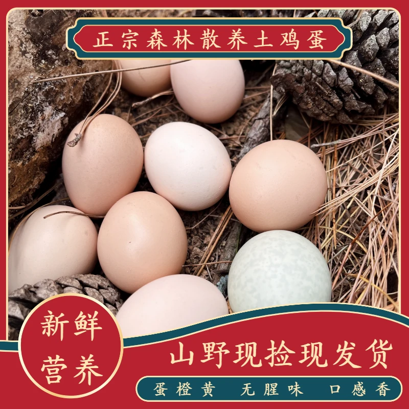 【破损包赔】正宗散养土鸡蛋现捡现发新鲜虫草蛋乌鸡蛋笨蛋云南喂养