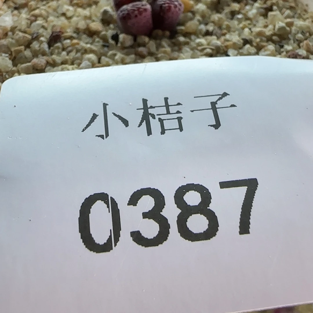【闪购商品】i*包0387