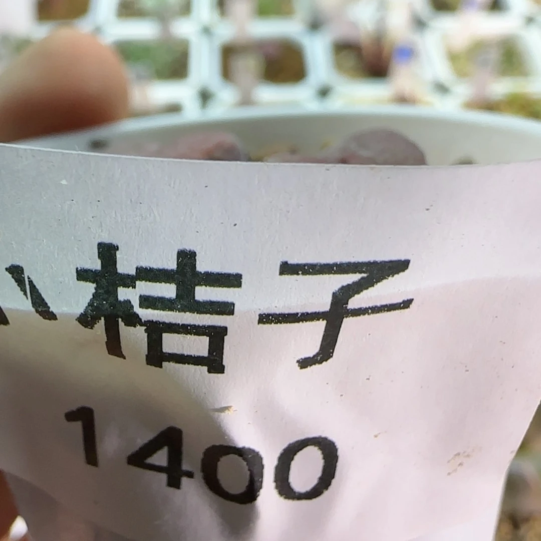 【闪购商品】张*宝1400