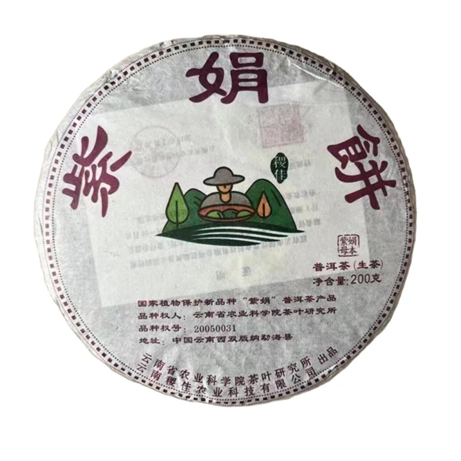 云茶 2021年 紫娟饼 200g 普洱茶 生茶