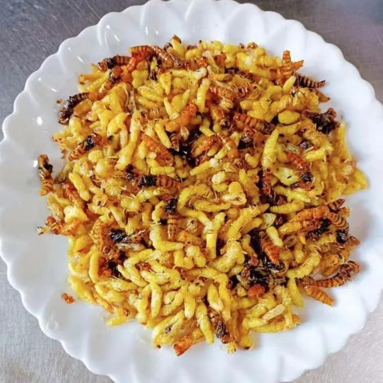 油炸蜂蛹 树峰。黄脚蜂 原味介意内脏勿拍。树蜂去不了内脏