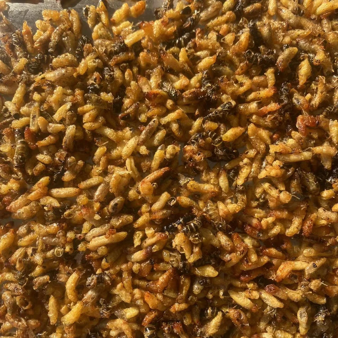 小青米 油榨蜂蛹