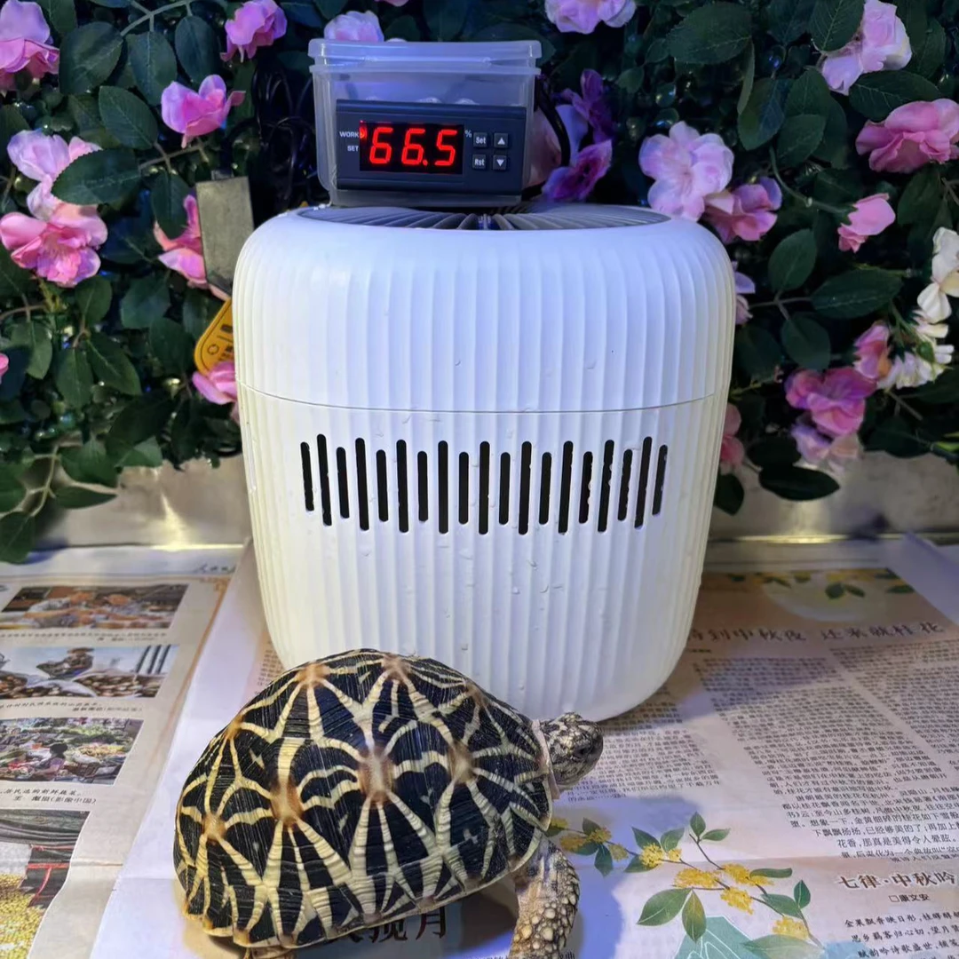 无雾加湿器红腿苏卡达豹纹赫曼辐射陆龟专用加湿低噪音