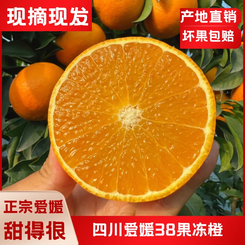 爱媛38号果冻橙爱媛橙子新鲜水果薄皮多汁酸酸甜甜发货正宗果冻橙