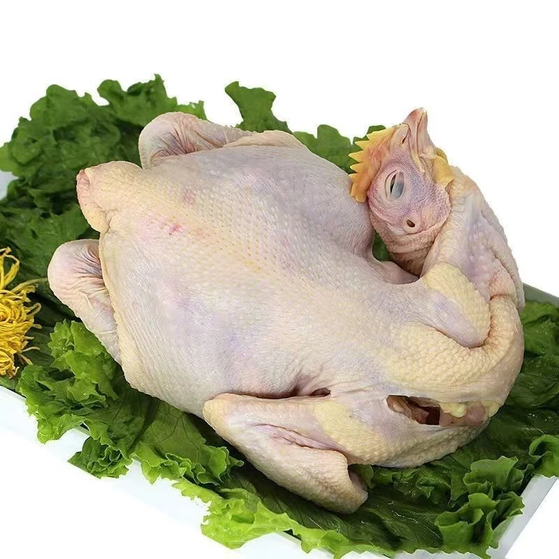 农村散养土鸡新鲜走地鸡整只农家笨鸡农家散养老母鸡