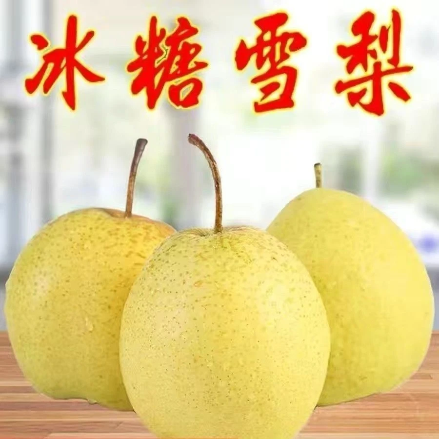 山西雪花梨冰糖雪梨10斤当季水果大个酥脆梨子脆甜皮薄汁水香甜