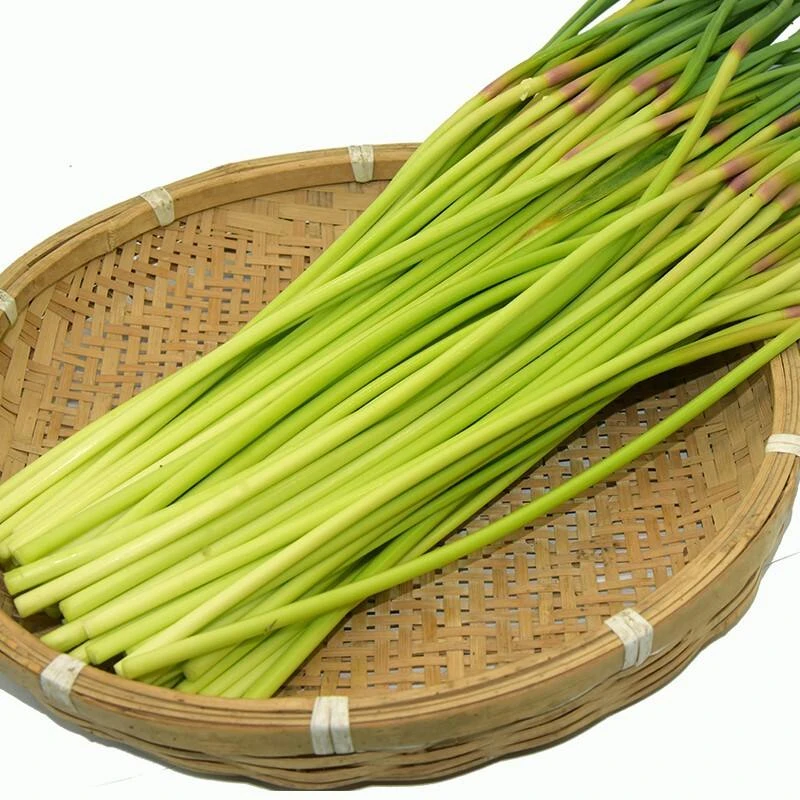 【凯涛甄选】新鲜蒜苔3斤 京东或顺丰包邮