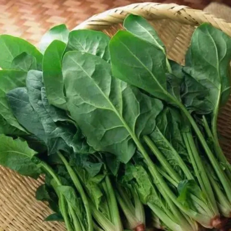 【凯涛甄选】新鲜菠菜2-3斤京东或顺丰包邮