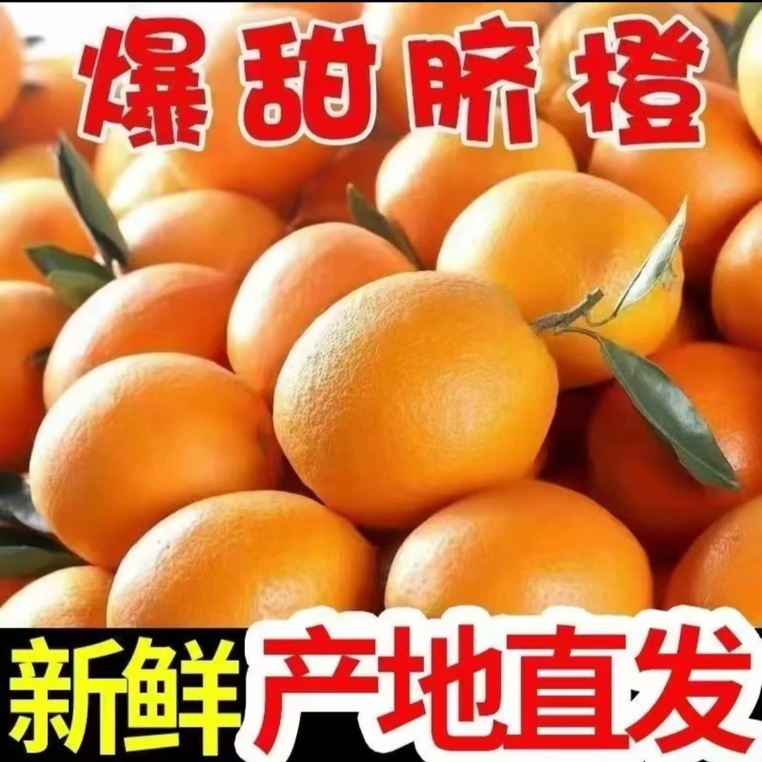 正宗江西赣南脐橙产地直发新鲜采摘当季水果果大皮薄9省包邮