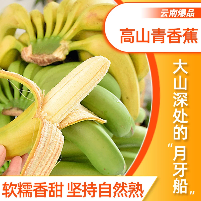 【高山青香蕉】云南高山青香蕉软糯香甜自然成熟新鲜现摘甜香蕉