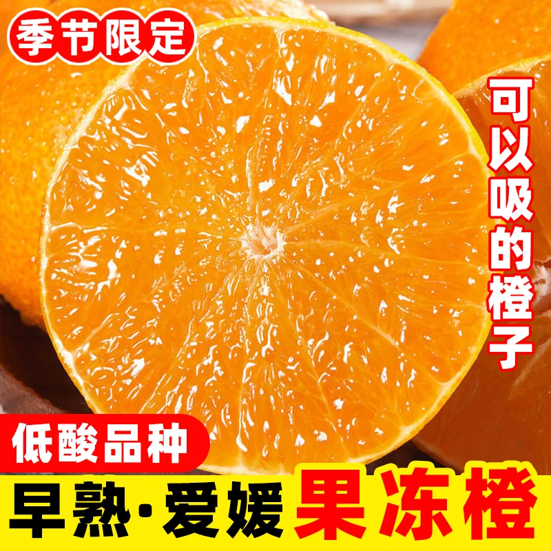 【现摘果冻橙】正宗爱媛果冻橙 新鲜橙子现摘现发清甜爆汁坏果包赔