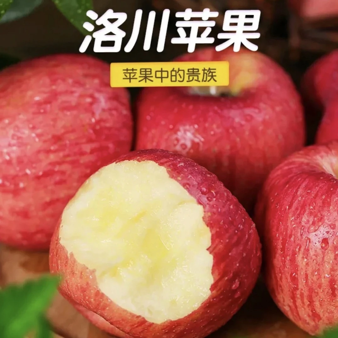 25年头茬洛川早熟红富士苹果