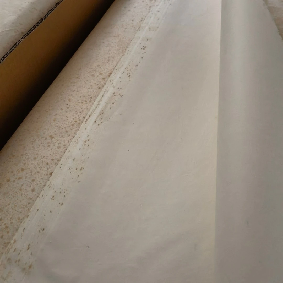 08年八尺124*248cm檀皮燎草古艺宣纸生宣创作收藏用纸