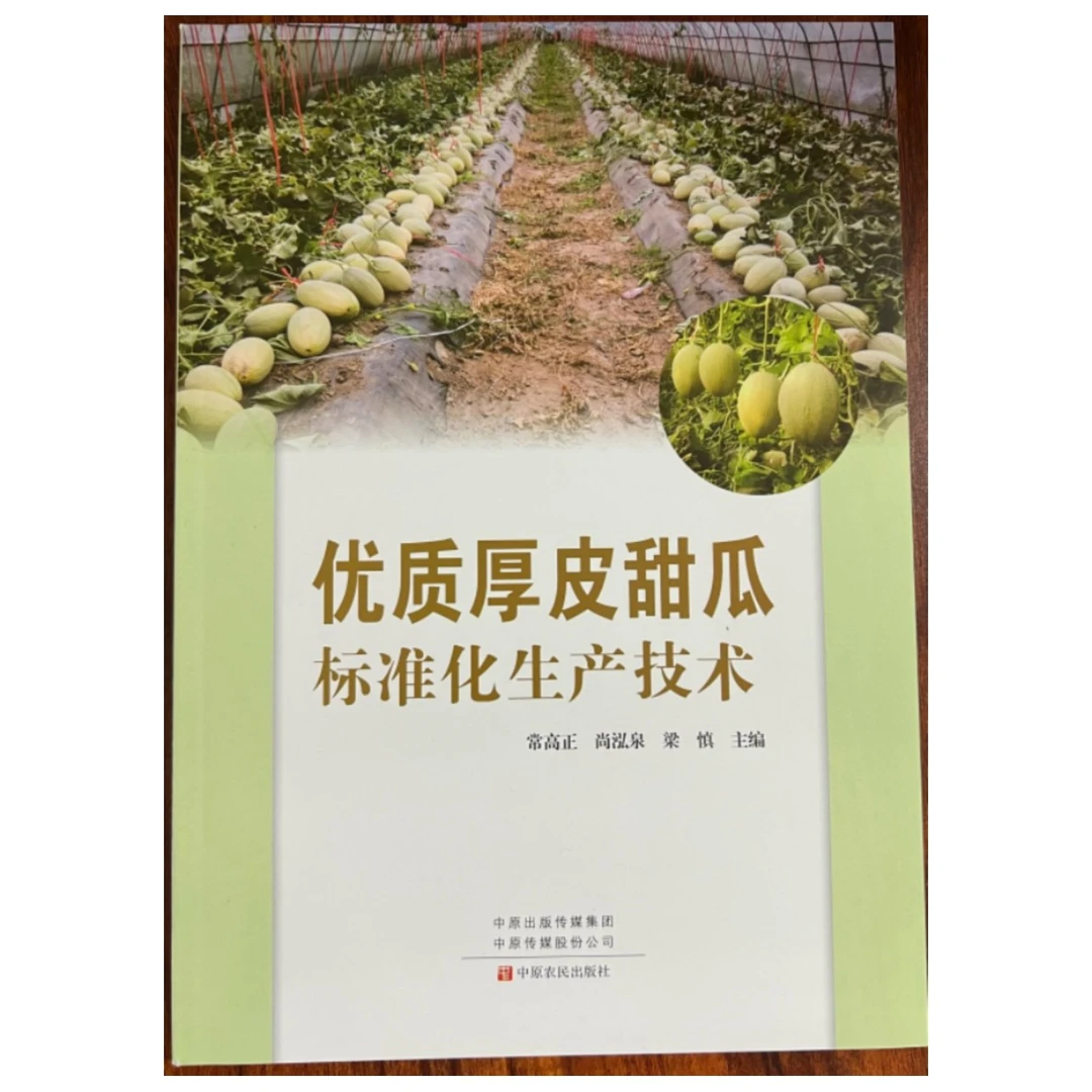 优质厚皮甜瓜标准化生产技术