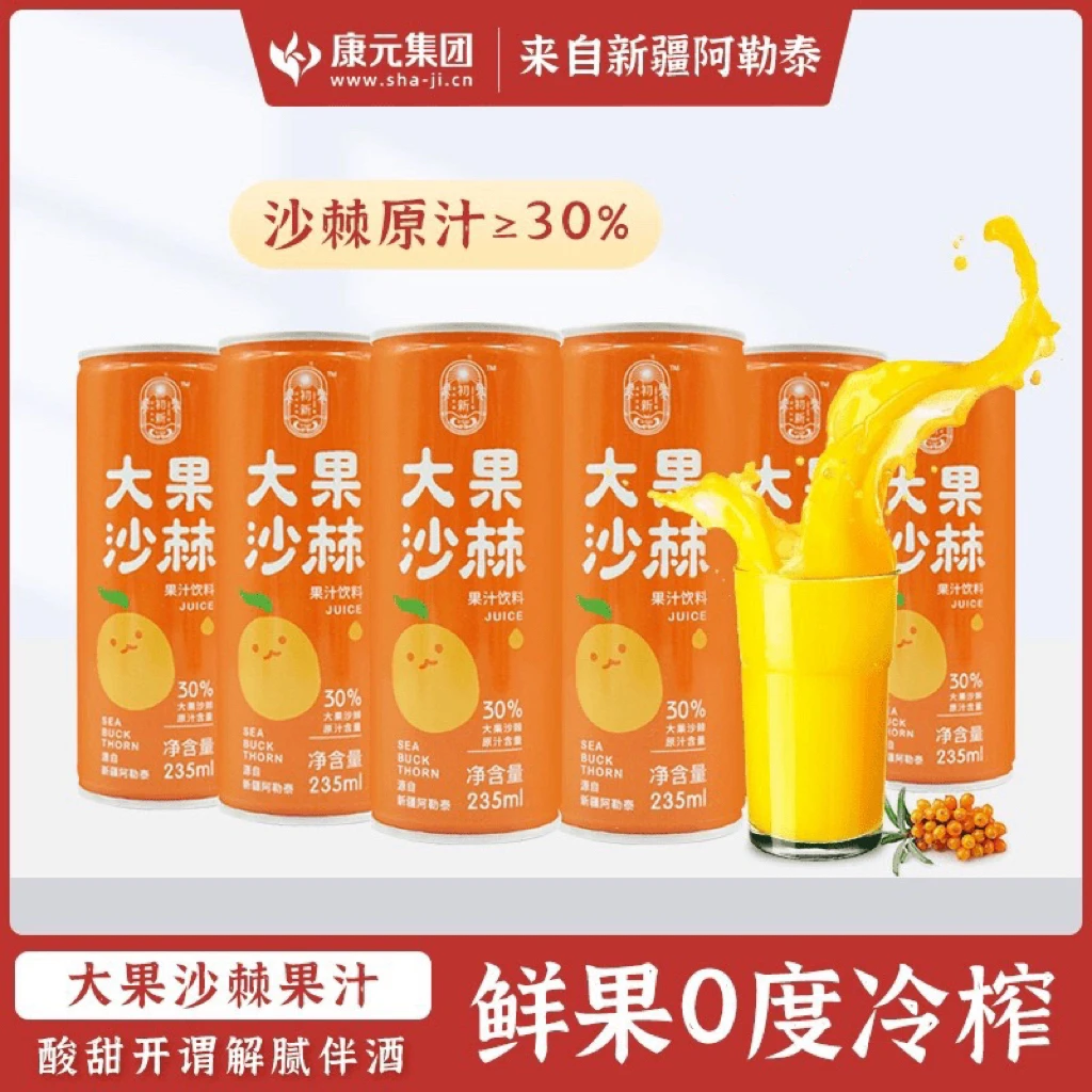 【临期】【24年8月13日】新疆阿勒泰康元大果沙棘果汁饮料235ml*6罐