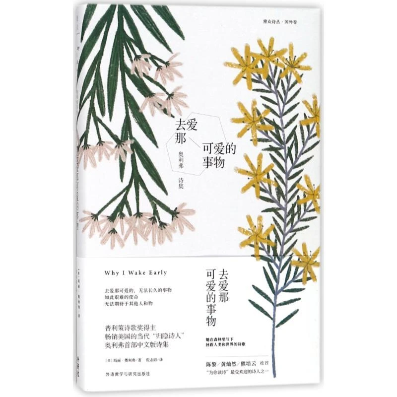正版书籍推荐《去爱那可爱的事物:奥利弗诗集》经典好书