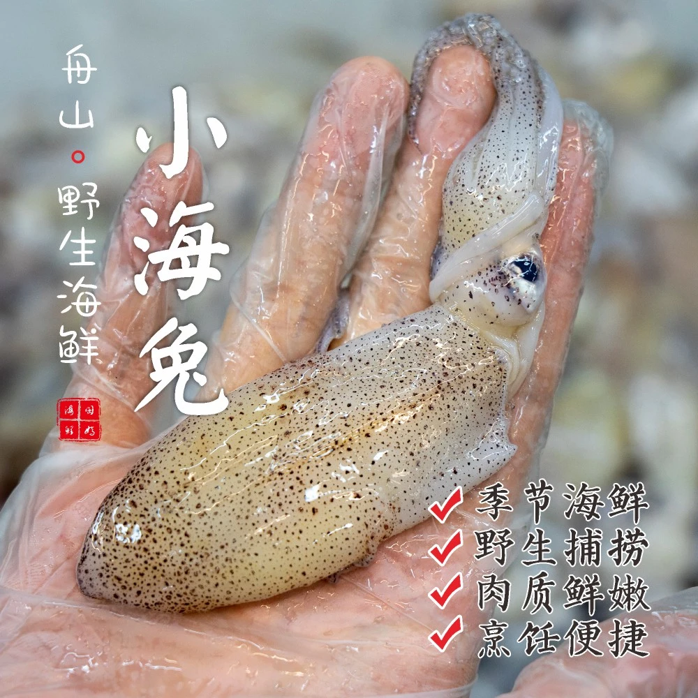 naoma/闹妈[新鲜] 东海舟山野生小海兔 500g/盒