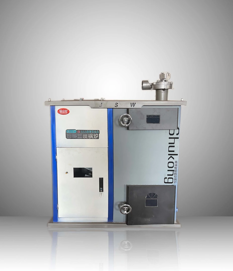 智能兰炭锅炉（200平）