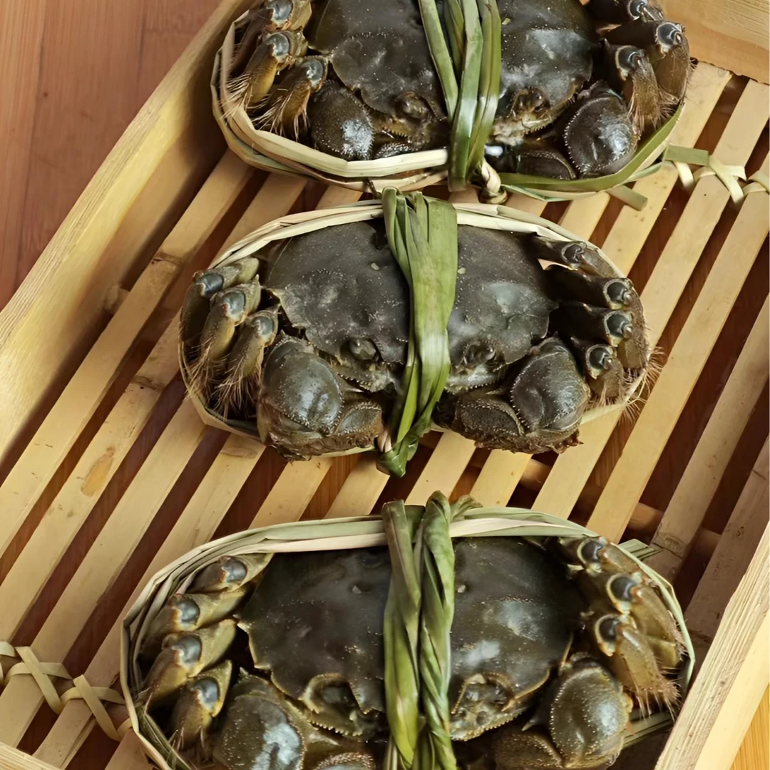 活蟹现货现发2.4-2.7两全母8只