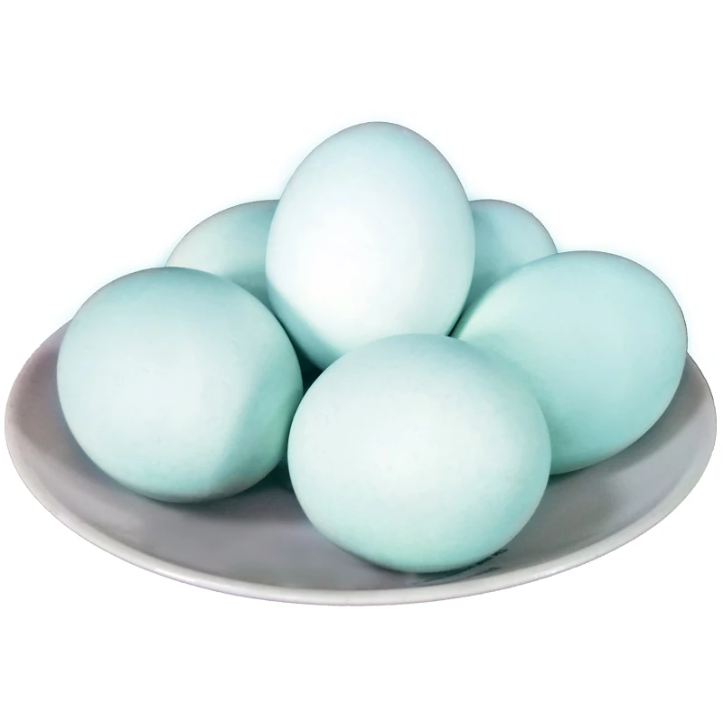 40枚天然绿壳蛋乌鸡蛋新鲜绿壳土鸡蛋笨鸡蛋草鸡蛋30枚20枚10枚