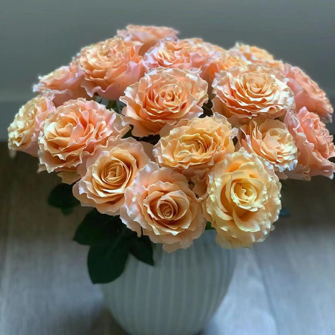 锦鲤鲜花玫瑰 全场买两单起发顺丰或京东空运