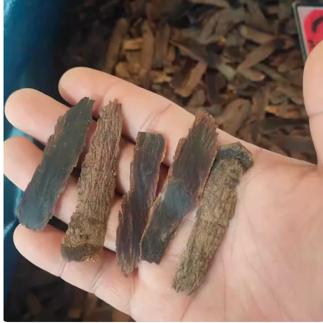 精选黑参柳叶片皮子无糖泡水煲汤色泽金黄