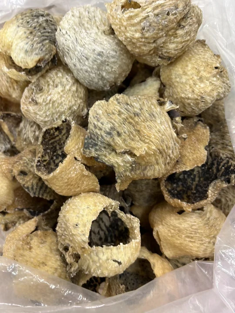 足干阳江已拔刺无刺刺龟鱼皮刺龟皮海胆皮刺鲍鱼食用海味水产干货