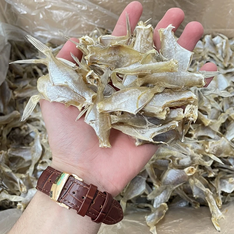 汕尾特产生晒迪仔鱼干剥皮牛鱼干小号敌仔脯扒皮鱼干马面鱼干干货