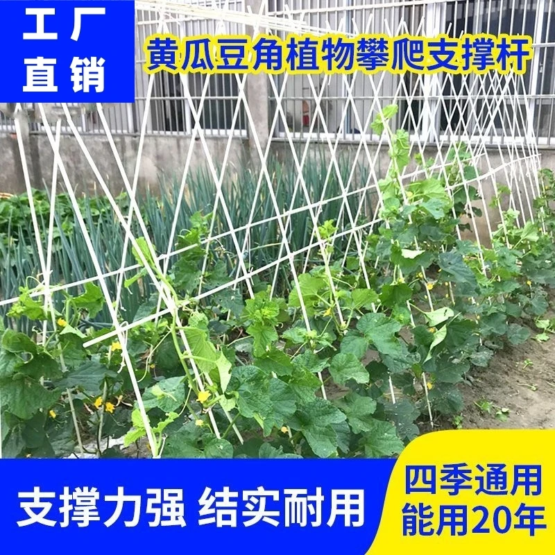 植物支撑杆黄瓜架杆爬藤豆角支架农用小拱棚拱杆支架豆角爬藤网