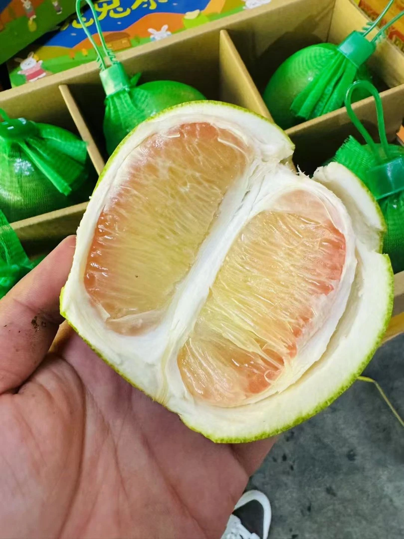 88/1箱6头 礼盒装 兔兔泰柚