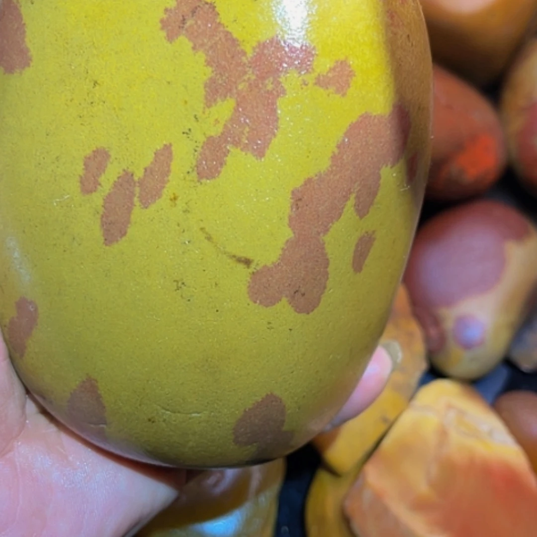 【闪购商品】黄蜡石卉*