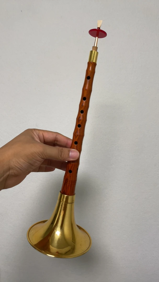 陈氏D调专业红木唢呐