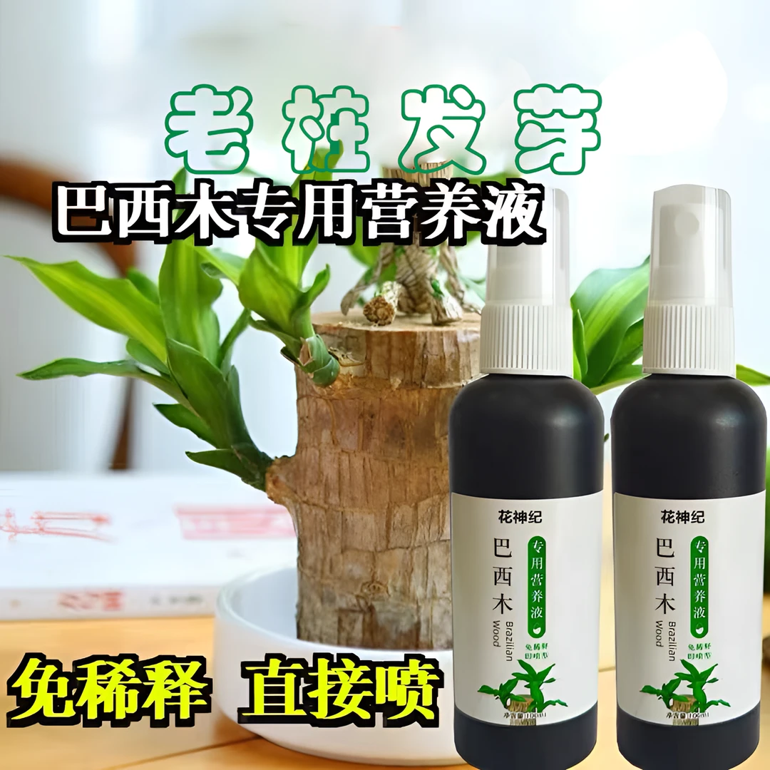巴西木营养液专业养花幸运木水培水养植物营养液盆栽生长增加土壤