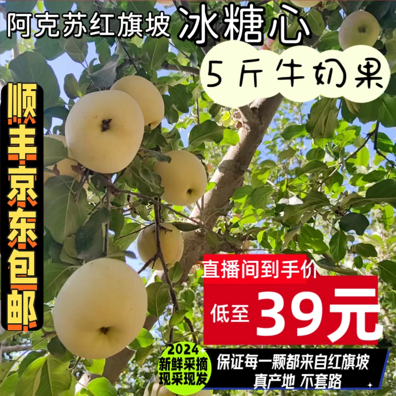 风沙礼【阿克苏直发】红旗坡冰糖心牛奶苹果5斤