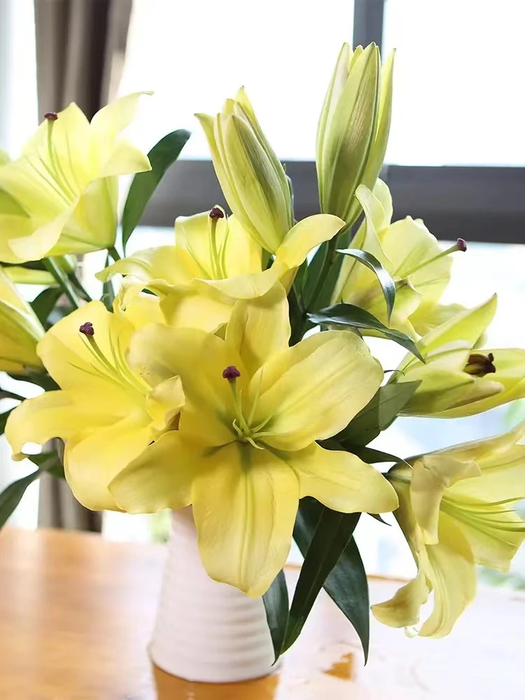 四季可种1颗18/20 【黄天霸】香水百合花球