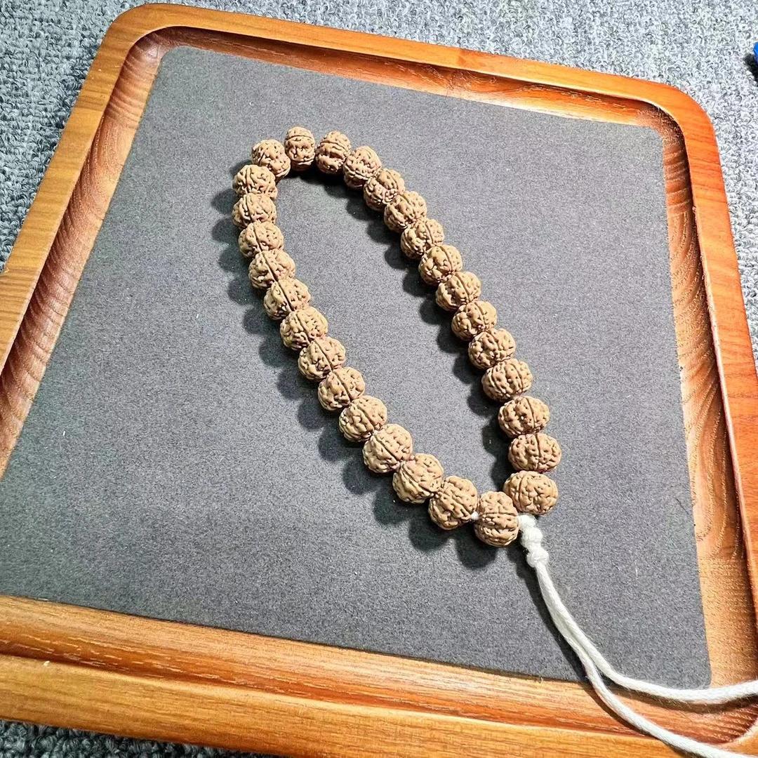 树王梅花矮桩满肉玉化皮印尼一代老树原生态籽