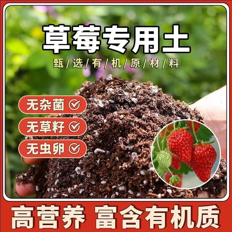 草莓盆栽土专用种植土营养土养花泥土育苗土疏松透气椰糠土有机土