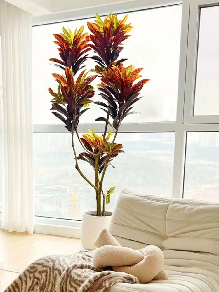 新七彩变色木盆栽室内大型植物客厅办公室吸甲醛网红绿植造