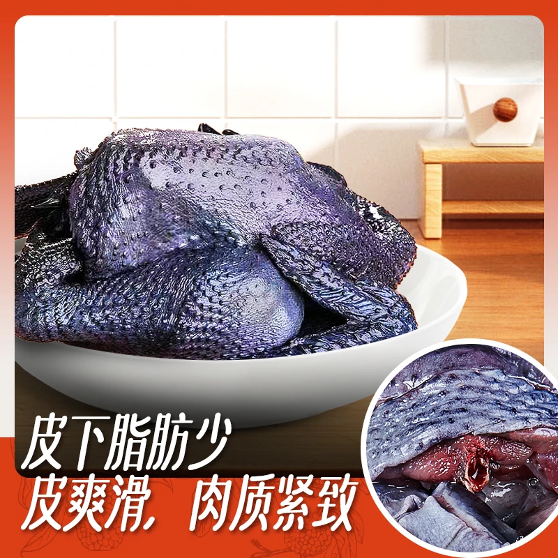 【现宰顺丰发货】荔枝园280天散养白羽乌鸡正宗原种月子鸡乌骨鸡