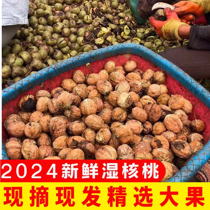 大凉山新鲜薄皮湿核桃去青皮鲜核桃带青皮核桃新鲜顺丰包邮