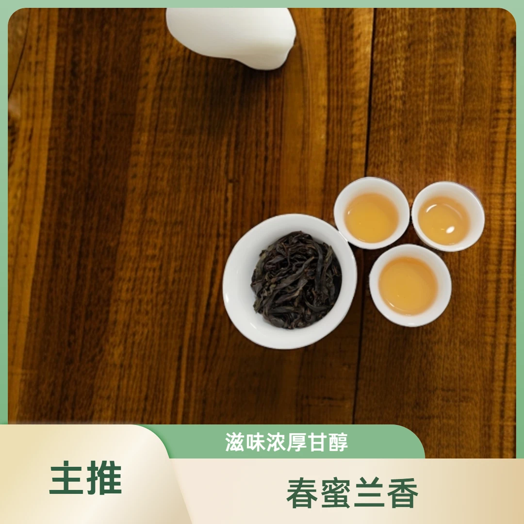 凤凰单丛高山老丛蜜兰香 25年春茶 精选茶礼浓醇甘爽