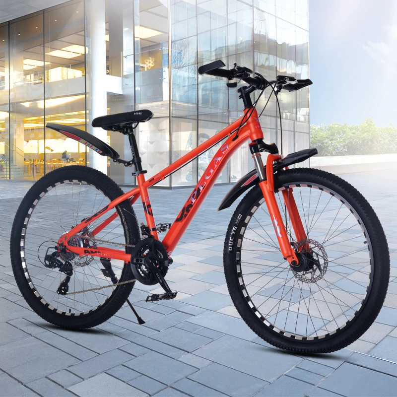 26寸24速变速山地自行车骑行双碟刹运动款青少年学生车闲途