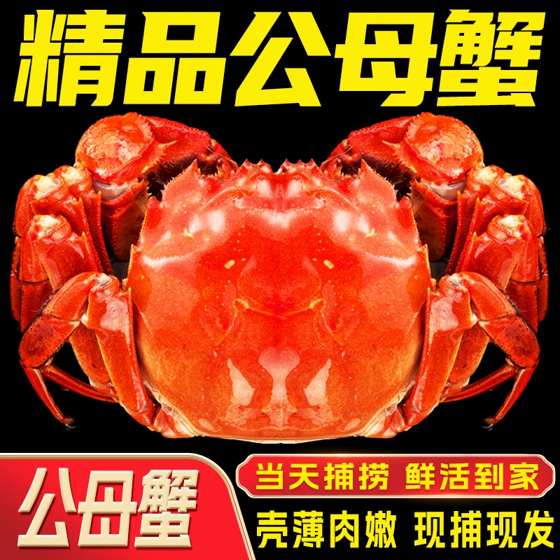 【江苏活蟹】鲜活大闸蟹 公4.5-4.2两 母3.5-3.2两 共10只 礼盒 C