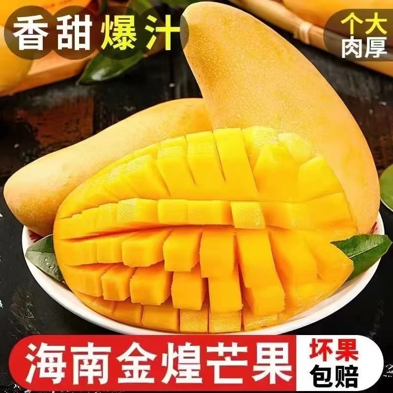 【树熟金煌芒】海南直发水仙芒大青芒皮薄肉厚5/8斤新鲜热带水果